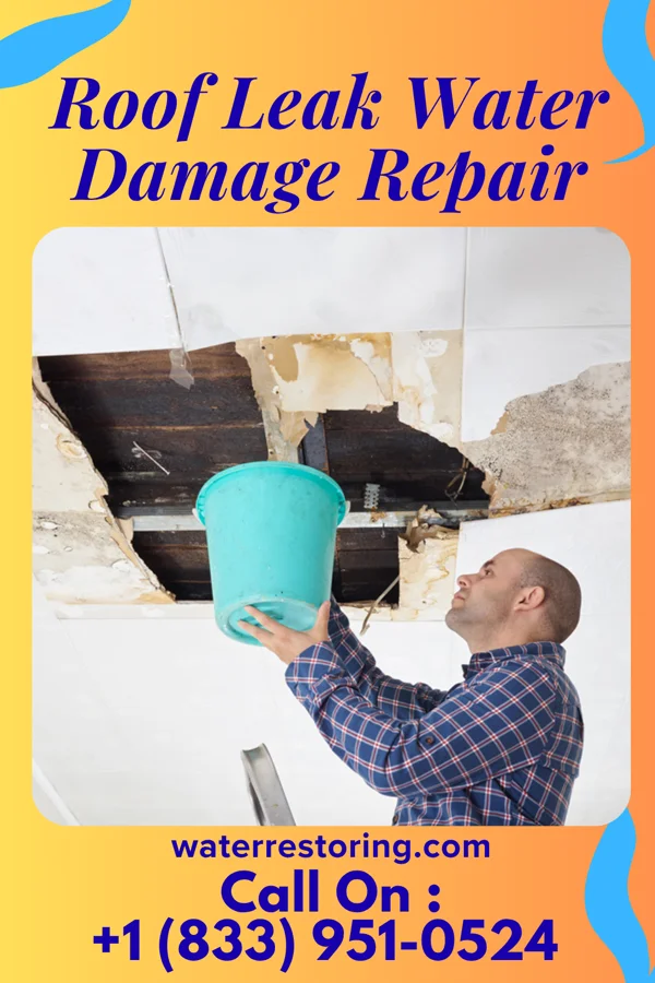 Roof Leak Water Damage Repair in New England, ND